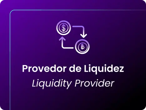Liquidity Provider